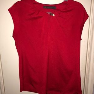 Ted satin professional shirt